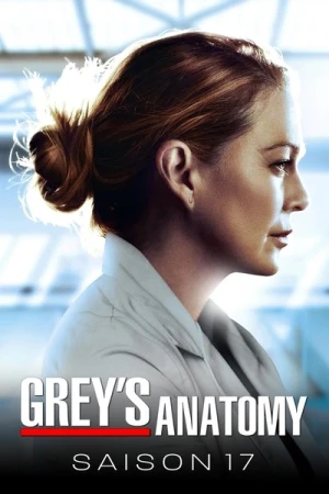  Grey's Anatomy - Saison 17 affiche 
