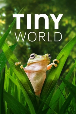  Tiny World - Saison 2 affiche 